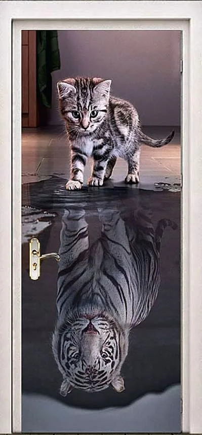 Фотопечать Входная дверь ZA-11