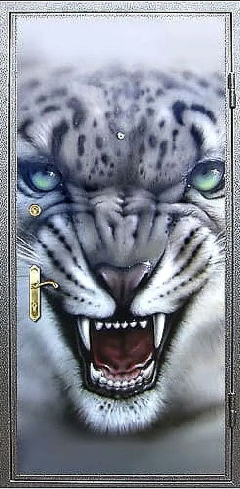 Фотопечать Входная дверь ZA-9